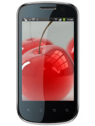 Best available price of Celkon A19 in Marshallislands